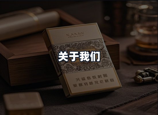 关于我们